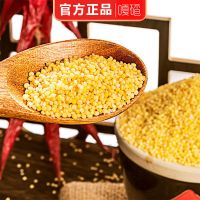 黄小米新米小米月子宝宝米农家五谷杂粮养暖胃赤峰小黄米批发 赤峰优质黄小米2斤