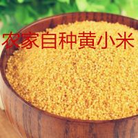 山西黄小米农家黄小米月子米1斤3斤5斤真空装小米月子米五谷杂粮 1斤试吃装