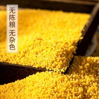 凯立丰新米5斤特价黄小米月子米农家自种黄小米五谷杂粮2斤 [今日限抢50份黄小米]2斤