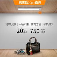 超薄无线充电橱柜灯人体感应灯衣柜鞋柜灯不插电家用厨房过道灯 白光 20厘米+充电人体感应【太空银】