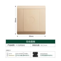 雷士开关插座暗装五孔电源插座USB家用带开关二三插多孔插座 空白装饰面板