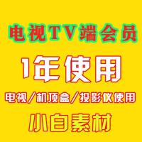 电视智能盒子iptv机顶盒投影仪vip会员电影视剧电视机会员破解版 电视TV端软件（正版1年）