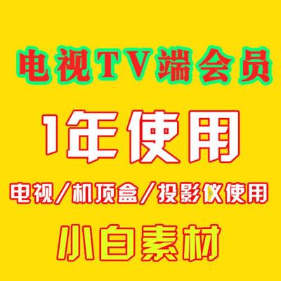 电视智能盒子iptv机顶盒投影仪vip会员电影视剧电视机会员破解版 电视TV端软件（正版1年）