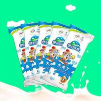 伊利奶油大布丁冰激凌雪糕冷饮整箱批发顺丰 伊利奶油大布丁30支