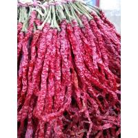 贵州特产皱椒鸡爪辣椒海椒无把发货长辣椒特香微辣干辣椒 半斤(250克)