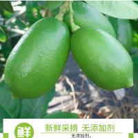 青柠檬香水柠檬无籽海南台湾四季新鲜水果批发产地直销柠檬片 1斤