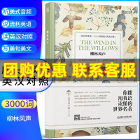 柳林风声 床头灯英语读本系列3000词读物 中英文对照世界名著双语读物中文英汉互译 初高中小学生英语学习课外阅读书籍