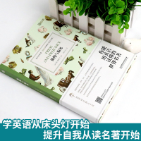 傲慢与偏见 床头灯英语3000词读物 床头灯系列中英文原版小说 英语分级阅读高中生高考必备课外阅读书籍可搭书虫牛津英汉双