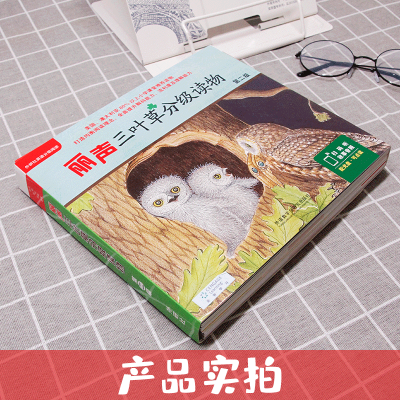 丽声三叶草分级读物第二级可点读含光盘共16册 4-6-8岁幼儿少儿英语启蒙读物一二年级小学生英语课外阅读分级英文绘本故事