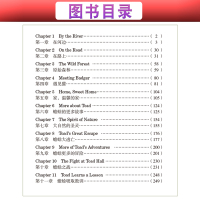 床头灯英语3000词读物柳林风声 床头灯系列英语读物3000词中英文对照 高中英语读物书籍双语 英汉双语小说名著 初中生