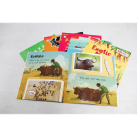 丽声英语百科分级读物第二级(外研社英语分级阅读)(点读版)(配光盘)