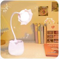 ins台灯学习专用宿舍写作业充电卧室床头时尚儿童女孩书桌护眼灯 [1200毫安]一档不可调光 充电线