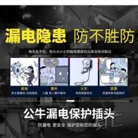 公牛漏电保护插头空调电热水器漏保16A插座带开关电源防漏电通用 10A接线式[GNT-20L]