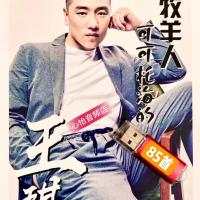 王琪专辑U盘内存卡可可托海的牧羊人送亲 站着等你三千年mp3音频 128MB王琪85首内存卡无视频
