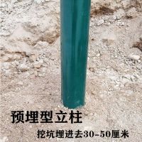 荷兰网立柱铁丝网围栏杆隔离栏钢丝网格网护栏养殖网拦鸡网铁柱子 优质预埋型1.2米高加强款