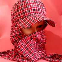 帽子女捂脸防风防尘棉布遮阳防晒系带帽田间工作采茶骑车护脖帽子 棉布系带 红格