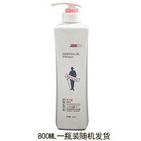 洗发水沐浴露护发素套装去屑控油柔顺洗发膏持久留香学生男女 800ML随机发