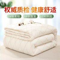 被子被芯褥子盖被春秋薄被单人双人垫被学生宿舍床垫手工棉胎加厚 100*200cm 单双人盖被/垫被/薄款）2斤