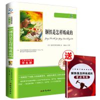 傅雷家书钢铁是怎样炼成的正版书原著初中八年级下册名著必读书籍 [单册 送赠品] 钢铁