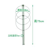 盆栽花架伸缩花支架铁线莲藤月季花架可调节花架爬藤支撑架 高75cm伸缩花架不带顶 大