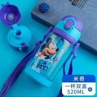 迪士尼儿童夏季水壶幼儿吸管杯小学生直饮防摔水杯带提绳蜘蛛侠 米奇双盖520ML(吸管+直饮)