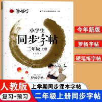 小鲤鱼跳龙门全套二年级上册必读课外书一只想飞的猫小狗的小房子 [1本]二年级上册同步字帖