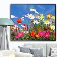 diy数字油画客厅充填手绘风景花卉油彩画手工制作装饰画 MY0017姹紫嫣红 40*50画笔画笔颜料(无框)