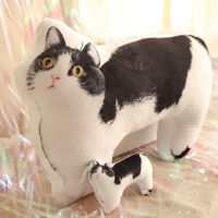 肖战同款坚果猫咪公仔玩偶布娃娃毛绒玩具3D印花抱枕生日礼物女孩 肖战同款猫咪 40厘米