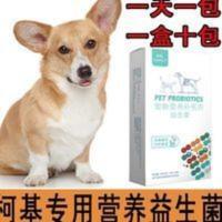 柯基专用狗狗益生菌调理肠胃泰迪幼犬通用腹泻便秘呕吐拉稀肠胃宝 柯基专用狗狗益生菌调