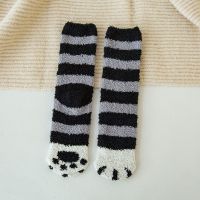 毛绒袜子女冬季珊瑚绒毛巾加厚保暖秋冬地板袜居家猫爪可爱睡眠袜 条纹黑 2双