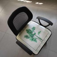 夏季冰丝椅垫办公室夏天透气凉垫坐垫椅子家用学生可爱座垫凳子垫 一束发财 45*45