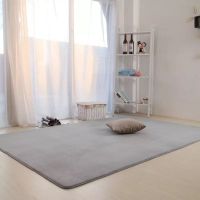 柔软短毛绒卧室地毯客厅沙发地毯床边毯简约飘窗满铺超榻榻米地垫 银灰色 40*60厘米