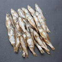 幼猫专用猫粮1-12月通用型小猫离乳期全价蓝猫冻干牛肉味鱼肉味 2斤牛肉味【试吃装】 无套餐