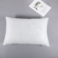 枕头芯套装一对带枕套学生宿舍单人一只可爱成人家用情侣护颈枕头 单独枕芯(没有枕套) 羽绒棉枕芯一只(没有枕套)