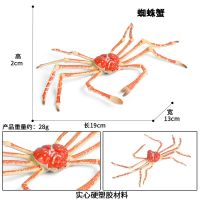 蜘蛛蟹模型仿真海洋动物帝王蟹静态实心螃蟹塑胶摆件儿童认知玩具 M-1351蜘蛛蟹(小号) 均码