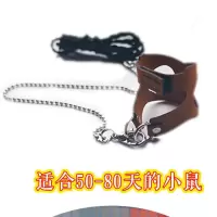 分体背心式松鼠绳雪地土拨鼠小宠防咬牵引绳胸背带防勒外带用品 开尾款小号