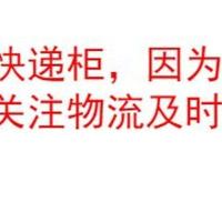 白额高脚蛛杀吃蟑螂天敌灭小强吃蚊虫宠物蜘蛛活体3-15cm包活 夏季降温包（高于30度必需拍）