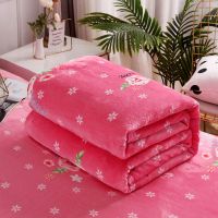 冬季加绒床单单件珊瑚绒法兰绒双面绒加厚保暖被单毛毯子单人双人 芬芳花园 粉 120x200cm宿舍床单