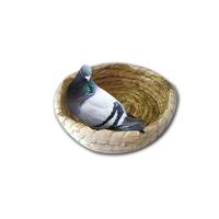 草编大号鸡窝鸽子窝信鸽用品草窝蛋窝繁殖窝鸽鸟巢信塑料鸽窝特 鸽子窝（直径22cm）