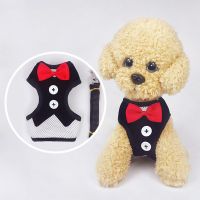 狗狗牵引绳胸背带泰迪比熊中小型犬遛狗绳狗链子可调节宠物用品 经典黑 S码-建议8斤以内