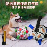 宠物足球狗狗猫咪玩具互动足球耐咬耐玩大中小型犬 大宠物足球 只发金属打气筒