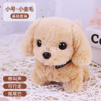 益米儿童玩具狗狗走路会叫仿真电动毛绒小狗会发声男孩宠物狗女孩 普通电池+螺丝刀 小号金毛