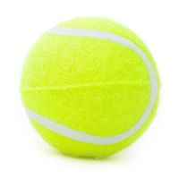 宠物网球玩具小型中大型犬训练互动玩具金毛萨摩狗狗逗趣磨牙玩具 网球玩具6.5cm