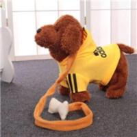 儿童电动泰迪狗玩具会唱歌会叫机器狗男孩女孩仿真泰迪走路小狗 黄色 普通款[无功能]