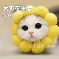 10种猫咪头套太阳花兔子可爱防咬防舔搞怪宠物狗头饰帽子生日装扮 太阳花 XS号-1.5-3斤