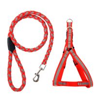 夜用反光狗狗牵引绳 泰迪狗链子 中小型犬遛狗绳子 胸背带套狗绳 红色反光 S号(参考体重2-8斤)
