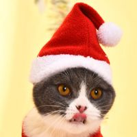 猫咪头套可爱搞怪泰迪狗狗帽子猫猫生日头饰装扮用品宠物搞笑帽子 圣诞帽子