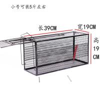 抓猫笼全自动捕猫笼抓猫神器诱捕笼逮猫捉猫超市商场驱赶流浪猫笼 小号:可抓1-5斤猫笼(4个月小猫)