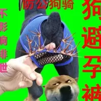 狗狗衣服公狗小型犬 宠物狗避孕裙子母狗狗月事裤绝育狗生理内裤 牛仔蓝色 不带刺XS码腰围25-35厘米5-12斤