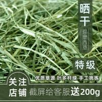 提摩西草干草兔子草兔粮草苜蓿草龙猫豚鼠草牧草兔子吃的草饲料 20年特级晒干提草250g